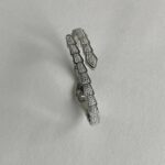 Özel Seri Zirkon Taşlı Yılan Tasarım Çelik Bileklik