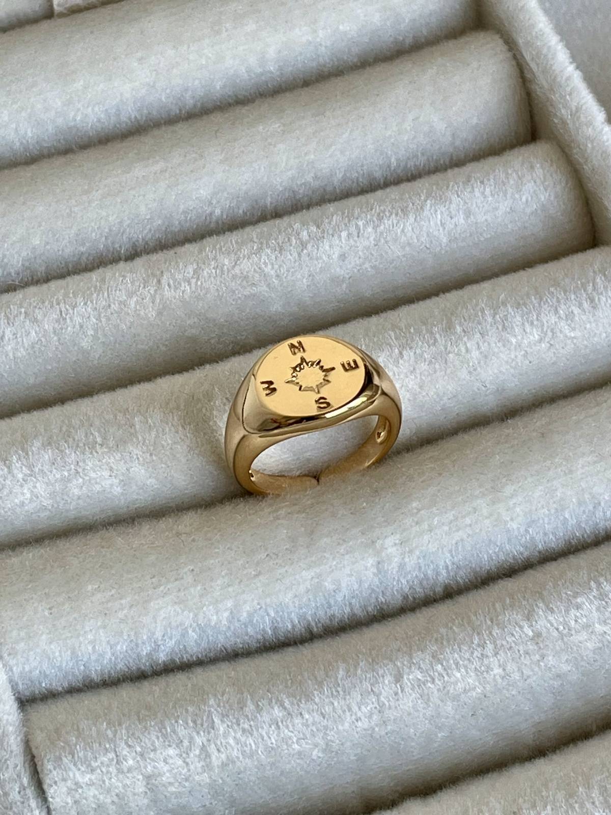 IMG_7728 Özel Seri Pusula Tasarım Şövalye Yüzük