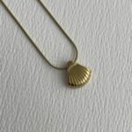 Çelik Deniz Kabuğu Tasarım Gold Kolye 45+5cm