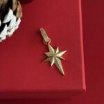 NS-Kuzey Yıldızı Ucu Zirkon Taşlı Gold Charm Uç