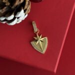 NS-Kuzey Yıldızı Madalyon Gold Charm Uç