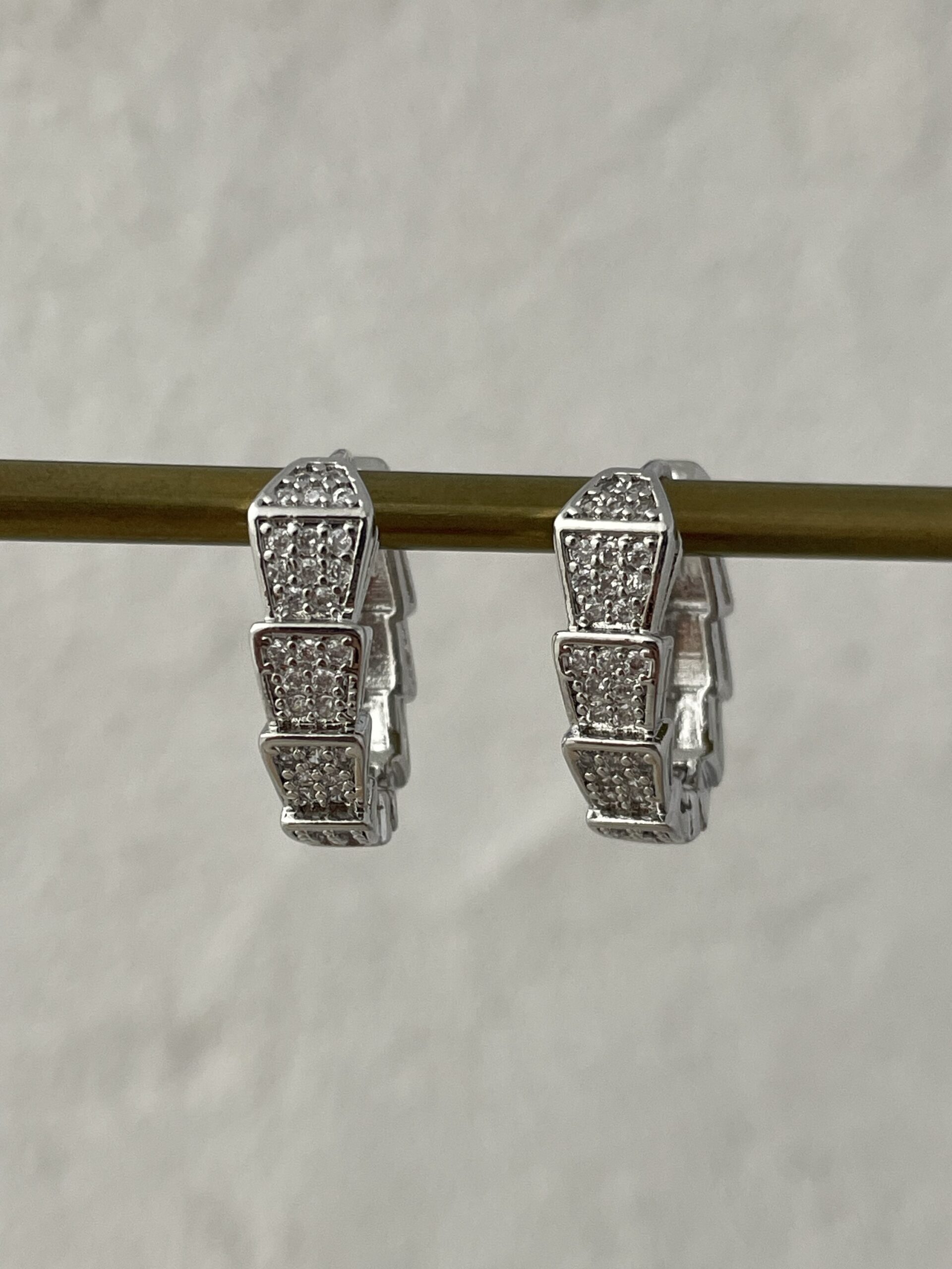 img_0081 Özel Seri Yılan Tasarım Gümüş Halka Küpe