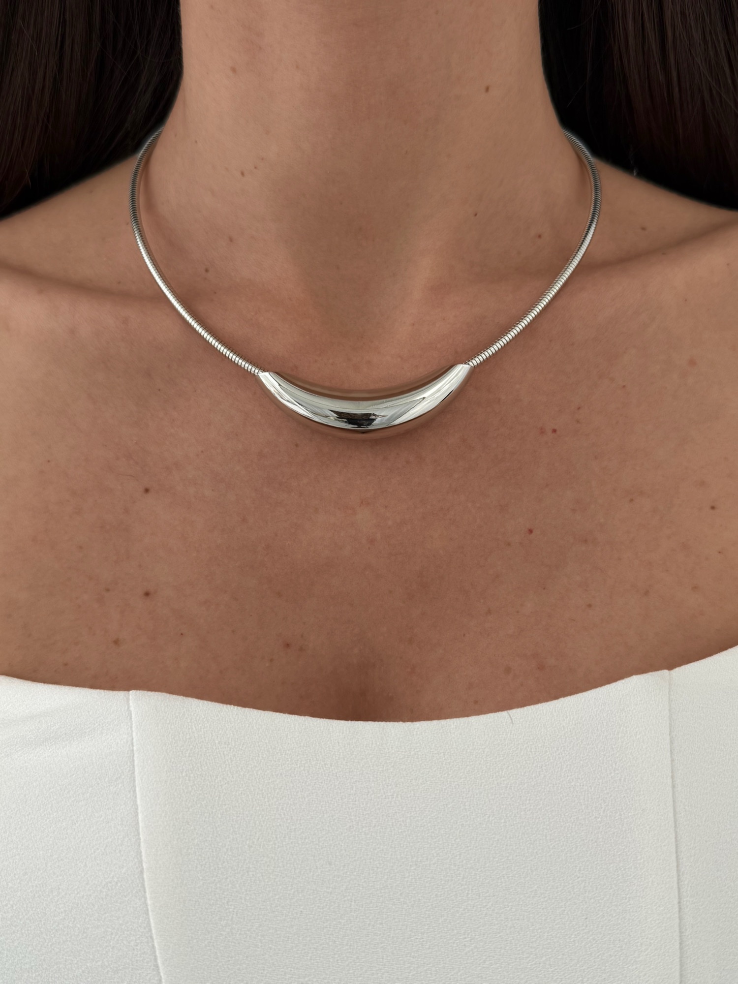 img_7674-3 Özel Seri Oval Plaka Detay Gümüş Choker Kolye